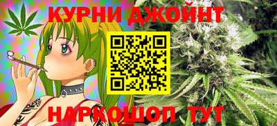 PSILOCYBIN Камышлов