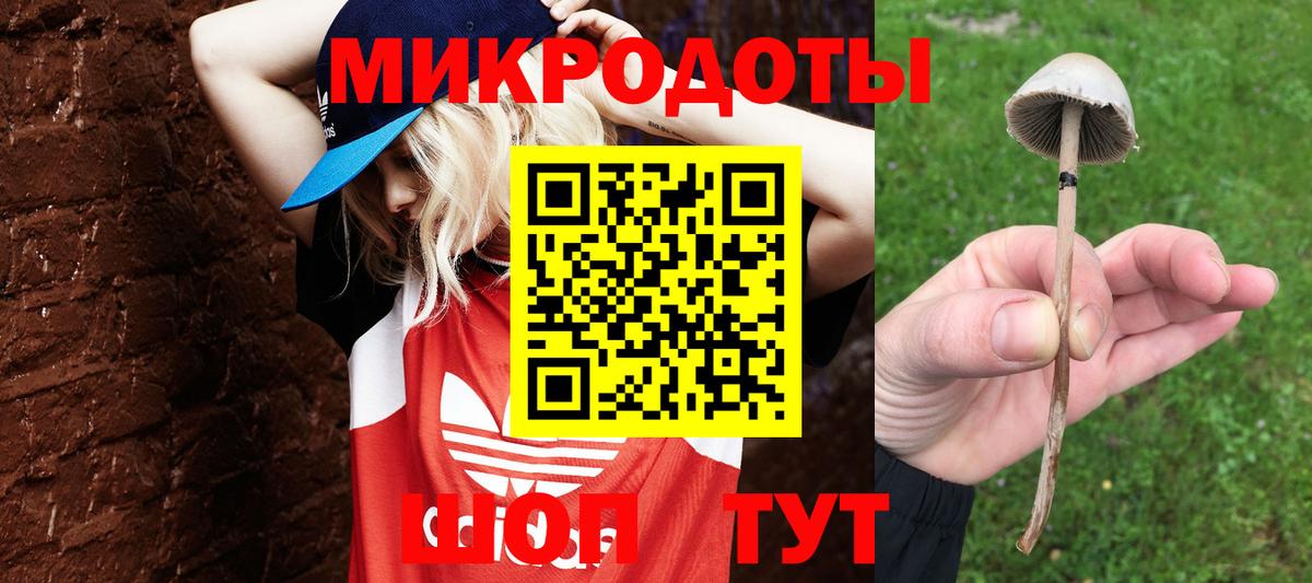 Жигулёвск  Галлюциногенные грибы GOLDEN TEACHER  закладки  Вход с VPN  Псилоцибиновые грибы прущие грибы 